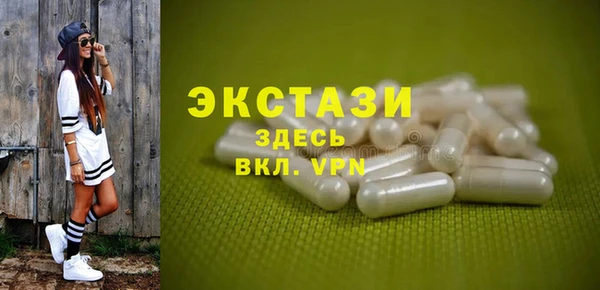 гашик Богородск