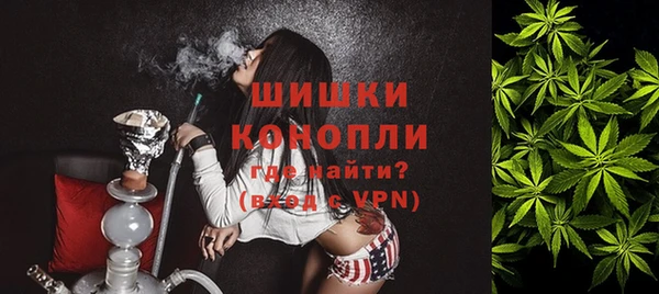 дурь Богородицк