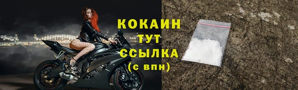дурь Богородицк