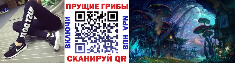 Галлюциногенные грибы Cubensis  где продают   Гай 