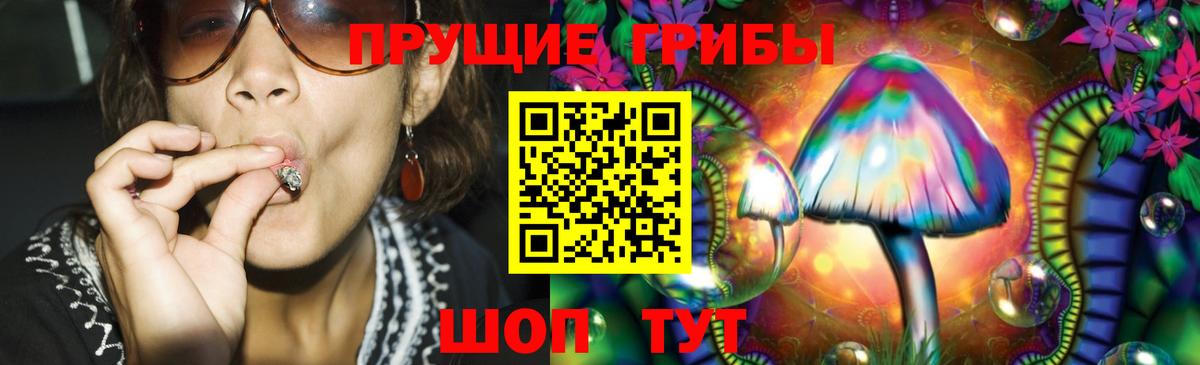 Псилоцибиновые грибы Cubensis Гай